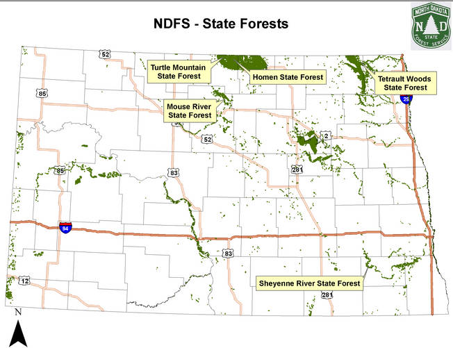 Section 1 Forests North Dakota Studies